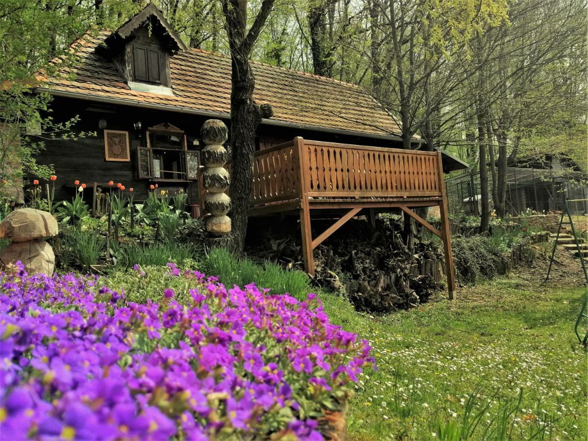 Country House With A Pool In Medvednica Nature Park ซาเกร็บ ภายนอก รูปภาพ