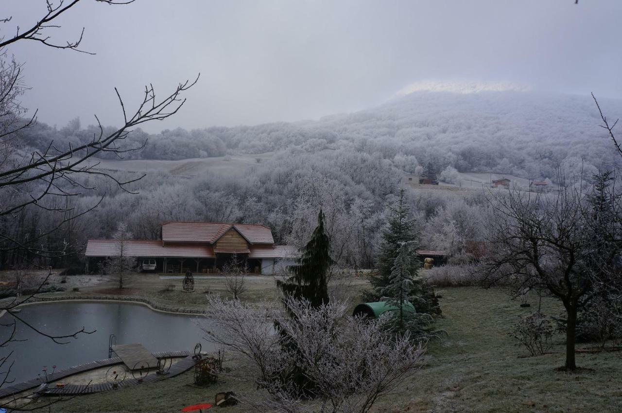 Country House With A Pool In Medvednica Nature Park ซาเกร็บ ภายนอก รูปภาพ